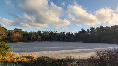 Frozen Lake Walk in Winter, Mount Stewart, County Down